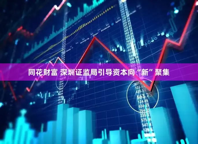 同花财富 深圳证监局引导资本向“新”聚集